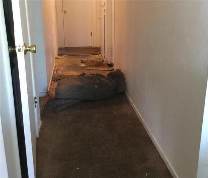 Hallway showing water damaged carpet
